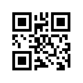 Support 12 QR Code VISTAlution Premium Hotline